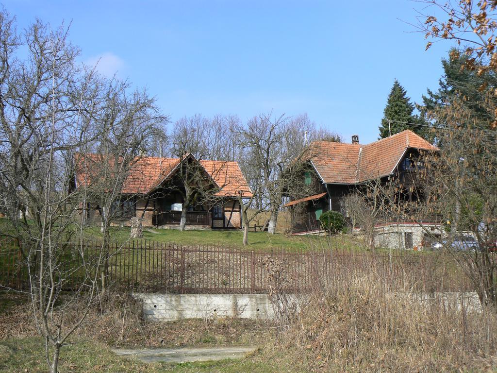 Gasthaus Country House Stoljetna Vila Seona Exterior foto